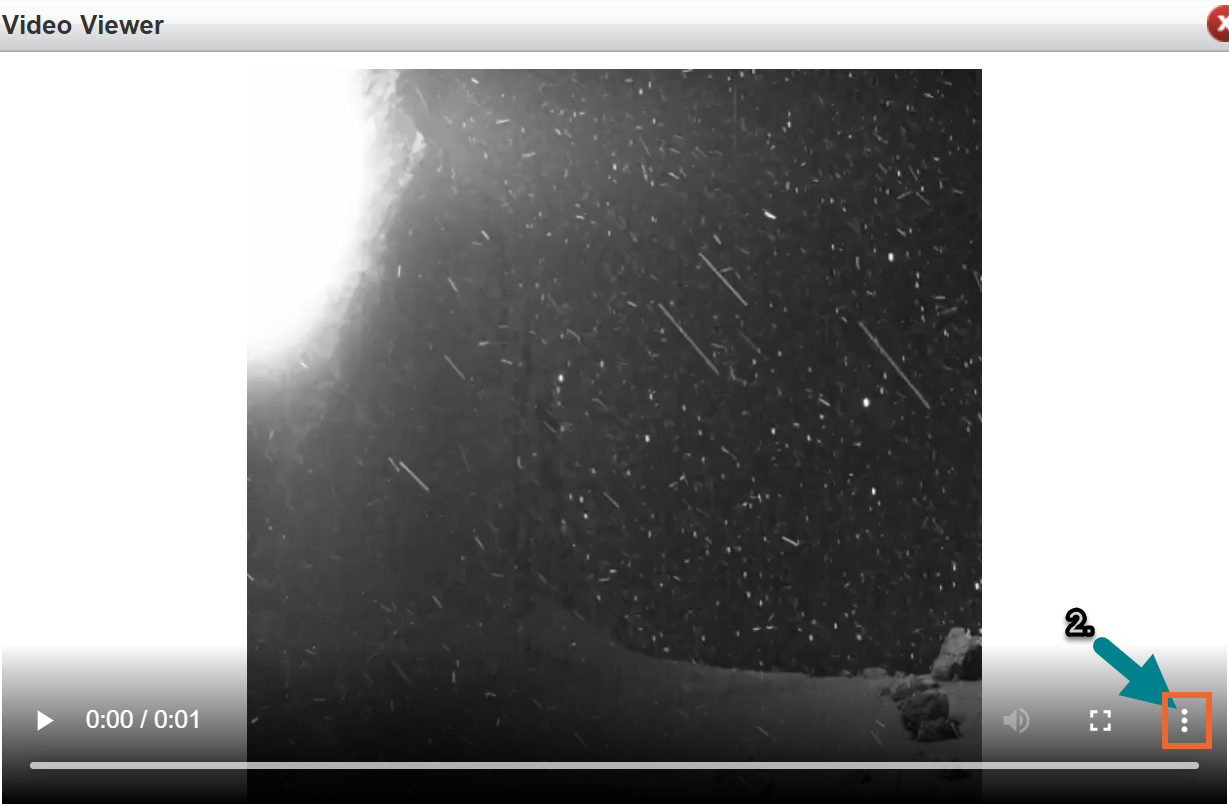 A picture containing text, screenshot  Description automatically generated